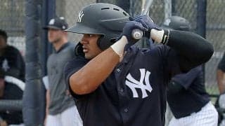 【MLB】17歳には見えない!?　ヤンキース有望株の打撃映像に米騒然「40歳のような風格だ」