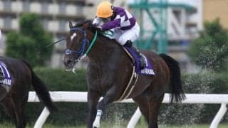 【名古屋・名港盃結果】タガノジーニアスが差し切り重賞初V、兵庫勢のワンツースリー