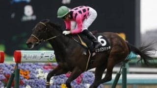 【アイビスSDゴールデンコンビ】「直近1年」の複勝率33.3％、複勝回収率162.4％！「矢野英一厩舎×丸山元気騎手」のカッパツハッチ