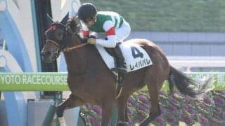 【JRA】4.6億円キャリーオーバー中のWIN5　出馬投票の結果、対象レースの番号に入れ替え