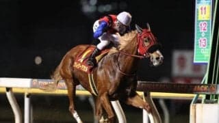 【ブリーダーズGC出走予定馬】クオリティスタート・クレイジーアクセルらが選定