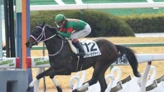 【アイビスSD】ゲンキチハヤブサ・ペイシャドリームが除外