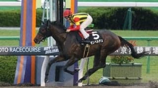 わずか１分で大儲けも。アイビスSDは穴党記者垂涎の４頭が好配当を呼ぶ