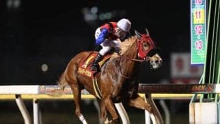 【園田・兵庫サマークイーン賞】 全国から強豪古馬が集う牝馬限定戦！ 勝機があるのは遠征馬？ 地元馬？/地方競馬レース展望