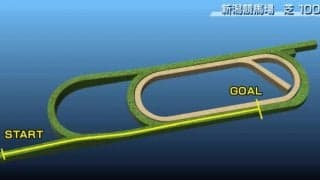 【アイビスSD コース解説】2001年に誕生した、日本唯一の直線コース