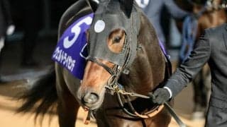 【次走】ダービー3着のヴェルトライゼンデはセントライト記念へ