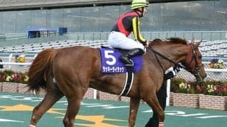 【次走】ラッキーライラックは札幌記念へ、鞍上は引き続きM.デムーロ騎手