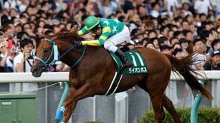 【アイビスSD予想】新潟の千直はなぜ8枠が有利なのか？　コースの歴史を紐解くことで勝ち馬のヒントが見えた!?/JRAレース展望