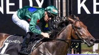 【海外競馬】豪G1馬アリゲーターブラッドが薬物陽性反応で失格に