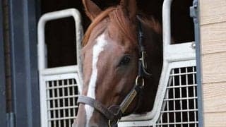 【札幌4R未勝利戦結果】タイセイレジェンド産駒JRA初勝利、10番人気エンペラーズパレスがV