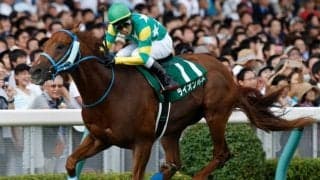 【アイビスSD前日オッズ】ライオンボスが2.6倍で1番人気