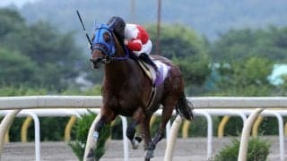 【水沢・栗駒賞】1番人気プレシャスエース号が逃げ切って勝利