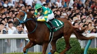 【アイビスSD予想】千直の鬼・ライオンボスの2連覇に期待!!/JRAレース展望