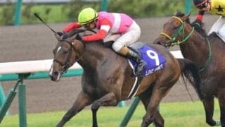 【本日の注目ポイント】新潟で芝千直の電撃戦・アイビスSD、キャリーオーバー中のWIN5にも注目