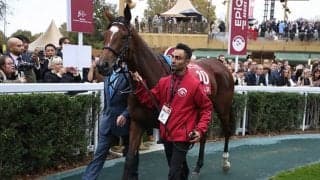 【仏・凱旋門賞】エネイブルが再度1番人気に、英オークス馬ラヴを逆転