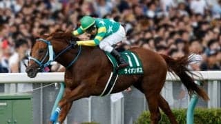 【アイビスSD予想】条件にピタリと当てはまるライオンボス/JRAレース展望