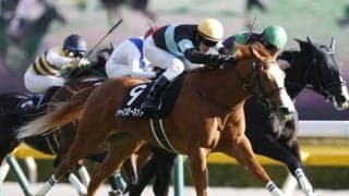 【次走】シャインガーネットはクイーンSを回避　目標は秋華賞