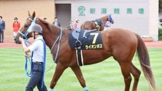 【アイビスSD・馬体重】ライオンボスは538kg(-4)、ジョーカナチャンは460kg(0)