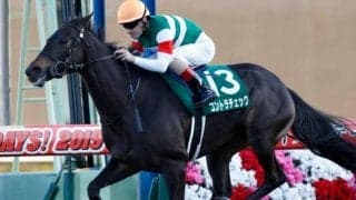 牝馬GIIIクイーンSに注目/今週の競馬界の見どころ