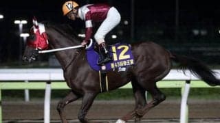 【大井・マイルグランプリ】ヒカリオーソら好メンバーが集結！/レースの見どころ(地方競馬)