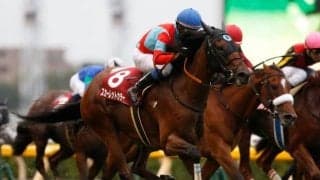 【クイーンS出走馬決定順】フルゲート14頭に18頭の登録、5頭は自己条件にも登録