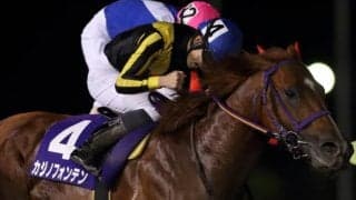 【マイルグランプリ枠順確定】豪華メンバー集結！東京ダービー馬ヒカリオーソ、羽田盃Vミューチャリー、重賞連勝狙うカジノフォンテンなど