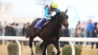 【ブリーダーズGC出走予定馬】JRAからシネマソングス・プリンシアコメータらが選定