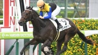 【クイーンS想定騎手】サムシングジャストは武豊騎手、ビーチサンバは福永祐一騎手