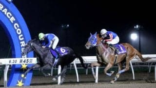 【門別・ブリーダーズゴールドジュニアC予想】1700m経験馬のブライトフラッグか、それとも栄冠賞組か!?/NARレース展望