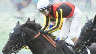 【新潟ジャンプS想定騎手】フォイヤーヴェルクは森一馬騎手、メドウラークは北沢伸也騎手