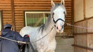 引退馬支援活動を広げるために立ち上がった馬と歴史と未来の会