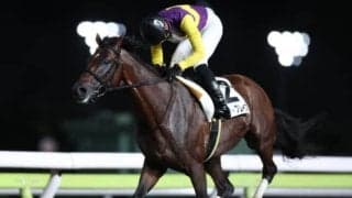 【東京記念TR】2.6秒の大差勝ち！移籍初戦ホーリーブレイズが早め先頭からV