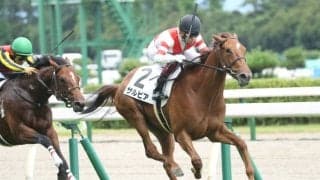 【新馬/新潟6R】ダイワメジャー産駒 サルビアがデビューV