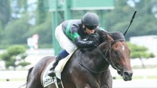 【新馬/新潟5R】ドゥラメンテ産駒 ドゥラヴェルデ3馬身差完勝！