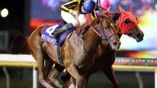 【マイルグランプリ予想】豪華メンバー揃いで激戦必至!!/NARレース展望