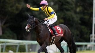 【JRA】スティッフェリオが屈腱炎で引退、乗馬に　今年の天皇賞・春で2着、重賞3勝