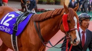 【エルムS想定】エアスピネル、タイムフライヤー、ウェスタールンドなど実績馬集う