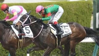 【次走】アイビスSD覇者ジョーカナチャンは北九州記念へ、鞍上は引き続き菱田裕二騎手