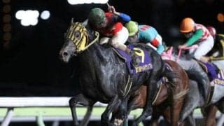 【大井・マイルグランプリ結果】ミューチャリーが外から差し切り快勝！休み明けをものともせず重賞3勝目