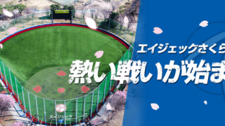 8チームが参加！女子硬式野球交流戦「栃木さくらカップ」開催