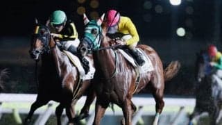 【大井・アフター5スター賞TR結果】3歳牝馬ブロンディーヴァが大接戦を制す