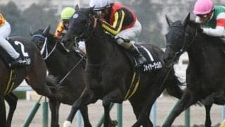 【新潟ジャンプS出走馬・騎手確定】フォイヤーヴェルク＆森一馬騎手、メドウラーク＆北沢伸也騎手など14頭