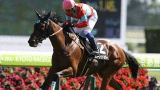 【クイーンS出走馬・騎手確定】スカーレットカラー＆岩田康誠騎手、コントラチェック＆ルメール騎手など14頭