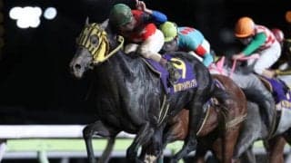 【マイルグランプリ】前年比約200％、売得金はレースレコードとなる8億円！