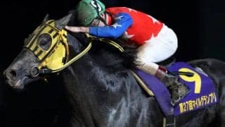 【マイルグランプリ】ミューチャリー快勝　御神本訓史騎手「いい状態で戻ってきてくれた」