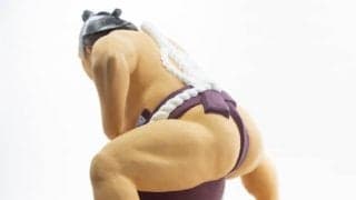 キャバクラ通いなどの問題行動で「超新人類」と揶揄された阿炎　過去に新人類と呼ばれた波瀾万丈の力士とは？