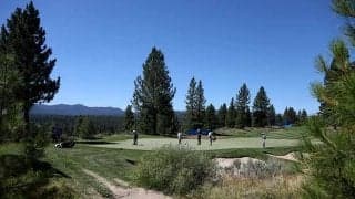 米ゴルフで熊出没！　無観客コースに“珍客”で中断の事態　米驚愕「凶暴な動物だ！」