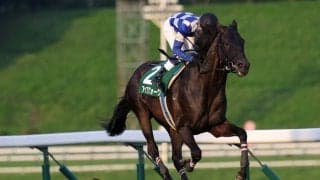 【盛岡・せきれい賞】兵庫所属アップクォーク号が優勝！