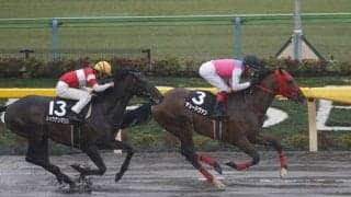 【JRA】秋季競馬番組が決定　3歳上OPの新潟牝馬S、2歳ダートOPのカトレアS実施など