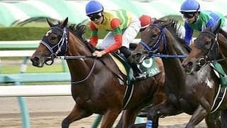 【クイーンS・馬体重】フェアリーポルカは510kg(+18)、スカーレットカラーは474kg(-8)